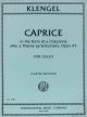 Caprice after a Theme by Schumann Op 43 Cello