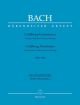 Goldberg Variations BWV 988 Klavieruebung Pt 4    