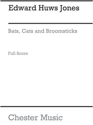Playst.Ez 15 Cats Bats Broom.Score(Arc)