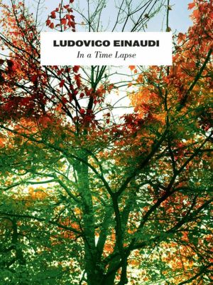 Ludovico Einaudi In A Time Lapse Pno