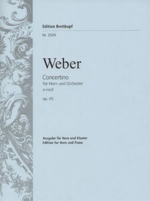 Concertino in E minor Op. 45