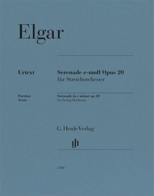 Serenade e minor Op 20 for String Orchestra - Score