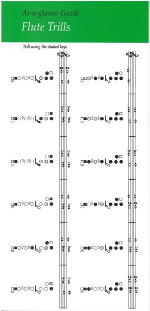 At A Glance Guide Flute
