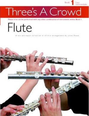 Three's A Crowd Book 1 - Flute