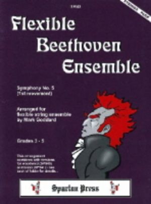 Flexible Beethoven Ensemble