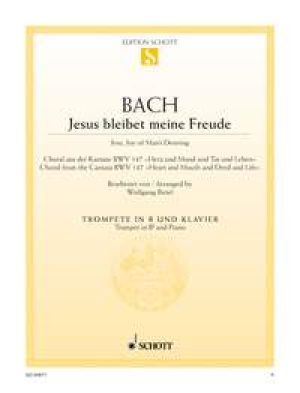 Jesu, Joy of Man's Desiring BWV 147