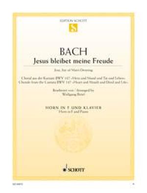 Jesu, Joy of Man's Desiring BWV 147
