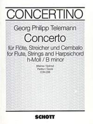 Concerto In B Min Fl/sofs